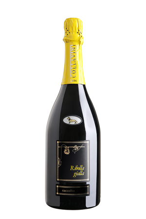 Eugenio Collavini Viticoltori - Ribolla Gialla Spumante Brut Friuli Italië 