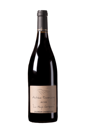 Antoine Sanzay - Saumur Champigny La Haye Dampierre Frankrijk 