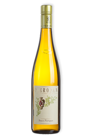 Pieropan - Soave Classico 1/2 Italië 