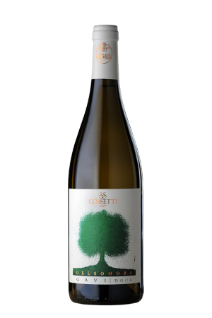 Cossetti - Gavi Gelsomora Italië 