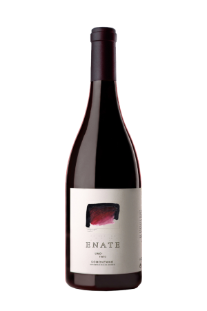 Enate Uno Tinto Somontano Spanje 