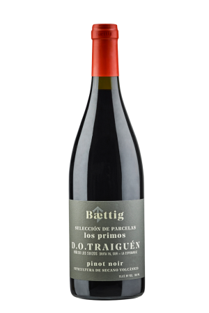 Vinos Baettig - Los Primos Pinot Noir 