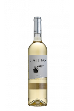 Alves de Sousa - Caldas Branco