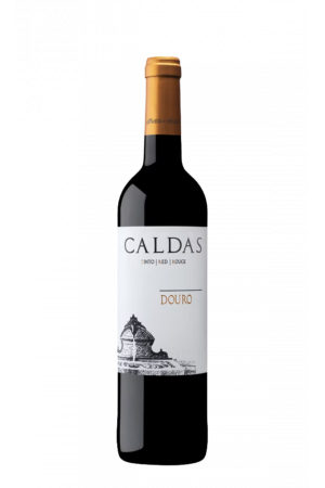 Alves de Sousa - Caldas Tinto