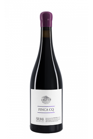 Bruma - Finca CQ - Jumilla Spanje Monastrell rode wijn 