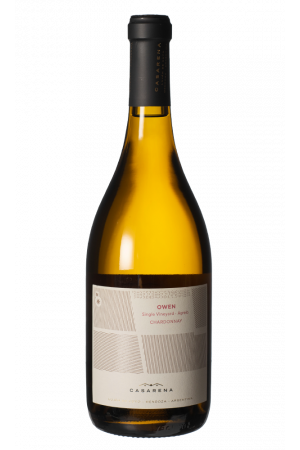Casarena - Chardonnay Owen's Single Vineyard Mendoza Argentinië 