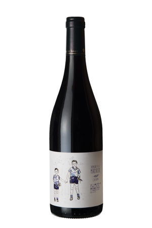 Rode wijn Domaine La Mariniere - Chinon La Mariniere Loire Frankrijk