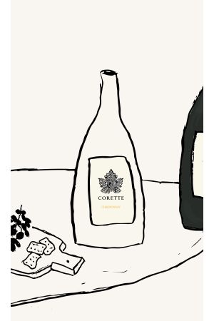 Witte wijn CORETTE - Chardonnay Languedoc Roussillon Frankrijk