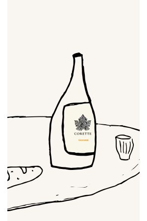 Witte wijn CORETTE - Viognier Languedoc Roussillon Frankrijk