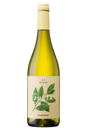 ILauri Julia Chardonnay Abruzzen Italie 