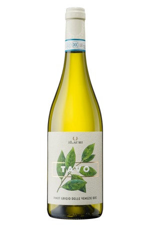 iLauri - TAVO Pinot Grigio witte wijn Abruzzen Italië