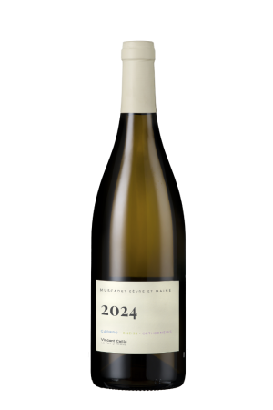 Le Fay d'Homme - Muscadet Sèvre et Maine 2024