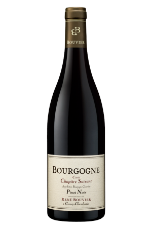 Domaine René Bouvier - Bourgogne Pinot Noir 'Chapitre Suivant'