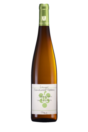 Weingut Ökonomierat Rebholz - Siebeldingen Riesling vom Muschelkalk trocken