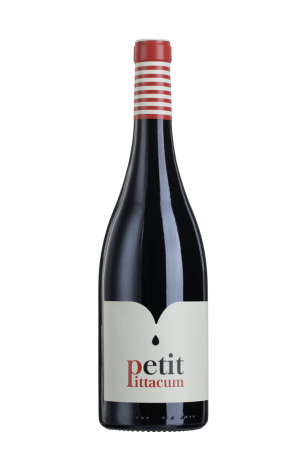 Pittacum - Petit Pittacum 