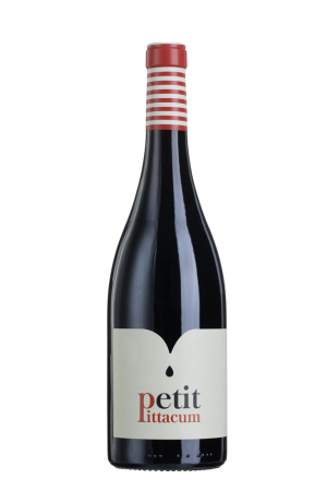 Pittacum - Petit Pittacum Magnum Bierzo Spanje rode wijn