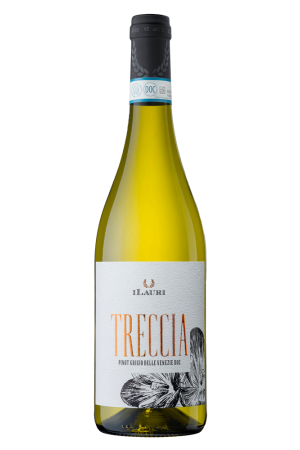 Treccia Ilauri Abruzzen Pinot Grigio Italië witte wijn