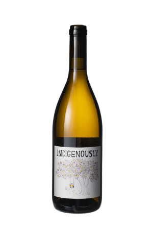 Vigna Lenuzza - Indigenously Friulano Friuli Italië witte wijn 