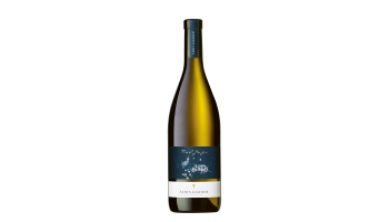 Alois Lageder - Alto Adige Pinot Grigio Italië witte wijn 