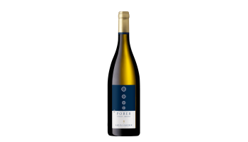 Alois Lageder - Porer Pinot Grigio Alto Adige Italië