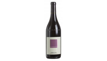 Sandrone - Barbera d'Alba Piëmont Italië rode wijn