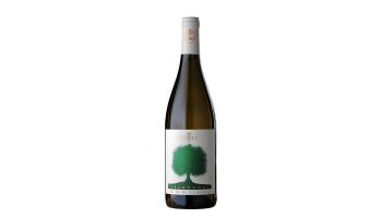 Cossetti - Gavi Gelsomora Italië 