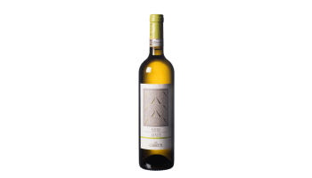 Cossetti - Roero Arneis Ornesio Piemonte Italië witte wijn
