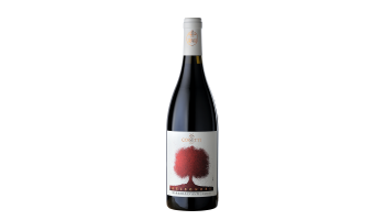 Cossetti - Barbera d'Asti Gelsomora Piemonte Italië rode wijn 
