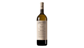 Terras Gauda - O Rosal Magnum Rias Baixas 