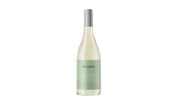 Bodegas Alceño - Hilanda Verdejo witte wijn Spanje 