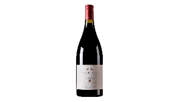 Artadi - Viña El Pisón Magnum
