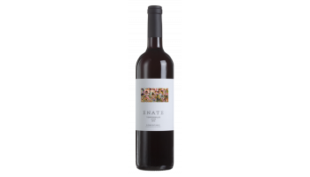 Enate - Tempranillo Joven Somontano Spanje