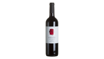 Enate - Merlot Merlot Somontano Spanje rode wijn 