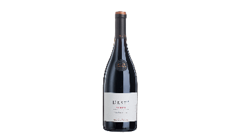 Mervm Priorati - Desti Carignan Syrah rode wijn Spanje Priorato