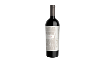 Casarena - Malbec Lauren's Single Vineyard Mendoza Argentinië rode wijn