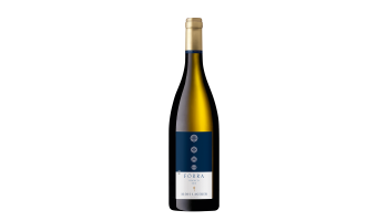 Witte wijn Alois Lageder - Fórra Manzoni Bianco Dolomiti Alto Adige Italië