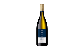 Witte wijn Alois Lageder - Gaun Chardonnay Alto Adige Italië