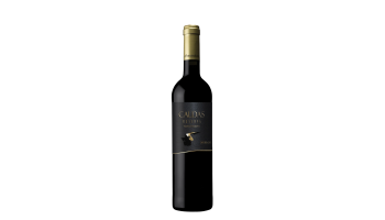 Alves de Sousa - Caldas Reserva Portugal, Douro