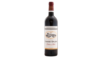 Chateau Chasse-Spleen Moulis en Medoc Bordeaux Frankrijk
