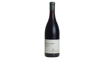 Bourgogne Pinot Noir Frankrijk Xavier Monnot rode wijn