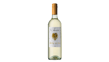 iLauri - Torre Dragone Bianco Colline Pescaresi Trebbiano Chardonnay Witte wijn Italië