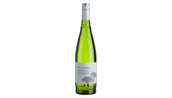 Witte wijn Félines Jourdan - Picpoul de Pinet Languedoc Roussillon Frankrijk