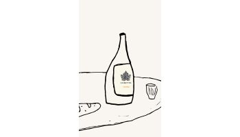 Witte wijn CORETTE - Viognier Languedoc Roussillon Frankrijk