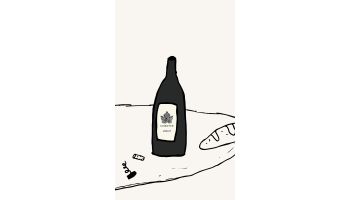 CORETTE - Merlot Languedoc Rousillion Frankrijk rode wijn