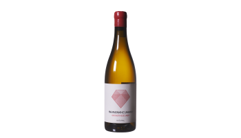 Witte wijn Hajszan Neumann - Natural Grüner Veltliner Oostenrijk Wien