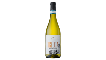 Treccia Ilauri Abruzzen Pinot Grigio Italië witte wijn