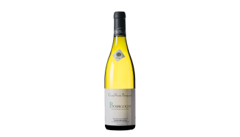 Witte wijn Marc Morey - Bourgogne Blanc Bourgogne Frankrijk