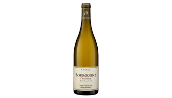 Domaine René Bouvier - Bourgogne Chardonnay Gevrey Chambertin Frankrijk witte wijn