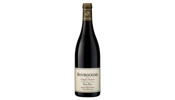 Domaine René Bouvier - Bourgogne Pinot Noir 'Chapitre Suivant'