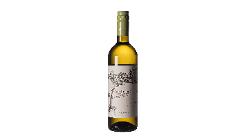 Witte wijn Sattlerhof - Südsteiermark Sauvignon Blanc Oostenrijk